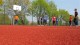 Thumbs/tn_TrainingslagerEisenberg2011 (46).jpg